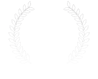 Cherry Spins Casino award badge